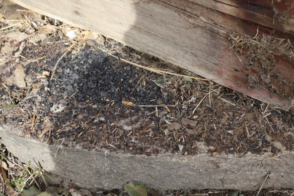 will it ever stop? . . . . 