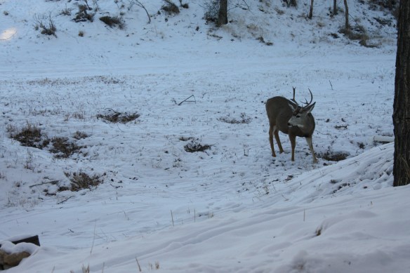 "Aw, that's kid stuff.  They know I'm No. 1!" . . . .