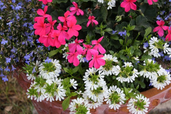 a patriotic mix . . . .