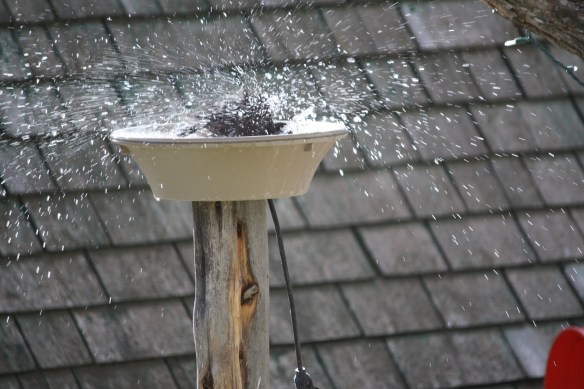 "splish splash, I am taking a bath!" . . . . 