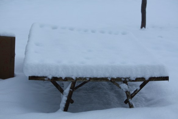 Hope springs . . . . 