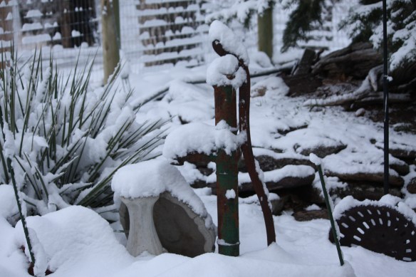 "Gee whiz--imagine that--  more snow!" . . . . 