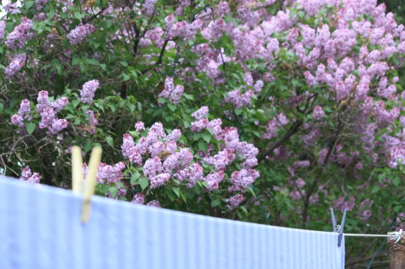 New life along the line . . . .