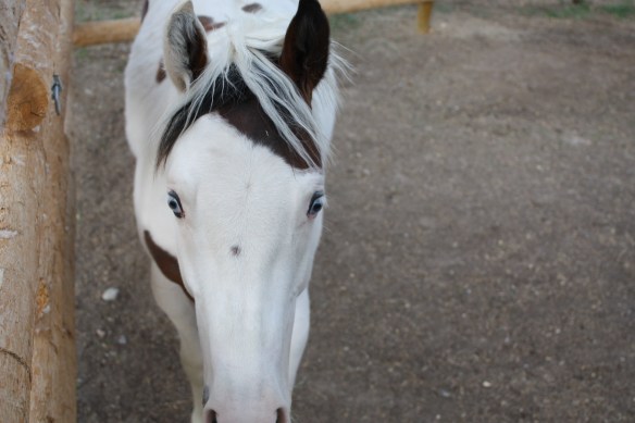 Ready for some excitement . . . . 