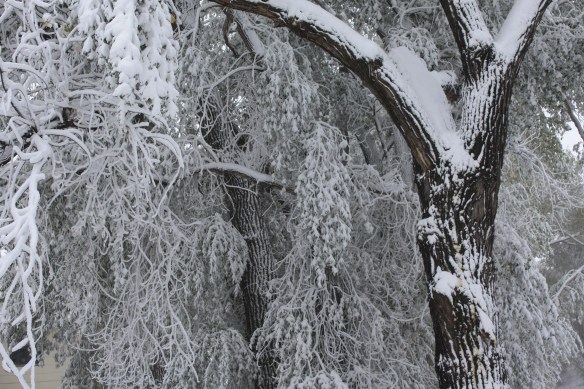 Autumn colors . . . . 