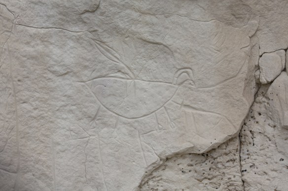 Horns, four legs, could be an antelope? . . . . 