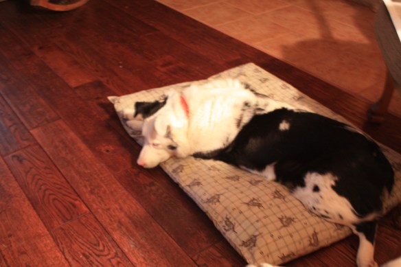 The weather outside is frightful - how nice to be indoors! . . . . 