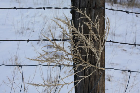 Seems impossible, but the wind has its ways! . . . . 