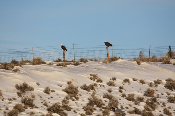 "Any signs of lunch?" . . . . 