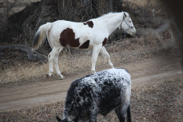 "C'mon, let's go!" . . . . 