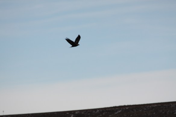 Which is it? . . . . 