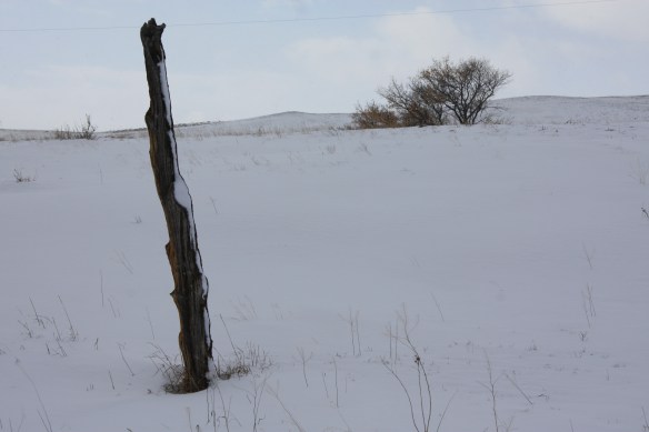 Last post standing . . . . 