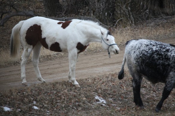 "I will bite you, buddy!" . . . . 