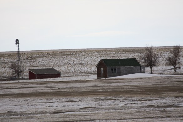 Abandoned ranch buildings bear witness to better days . . . .  