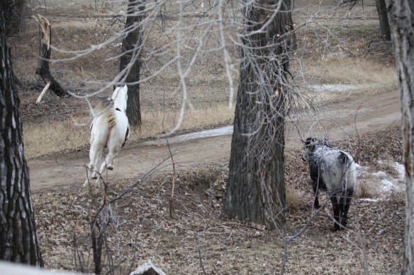 "We're off!" . . . . 