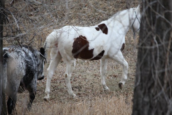 "Oh alright already!" . . . . 