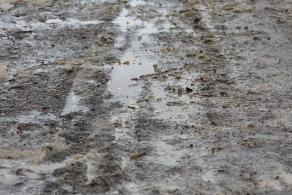 can this mean spring? . . . . 