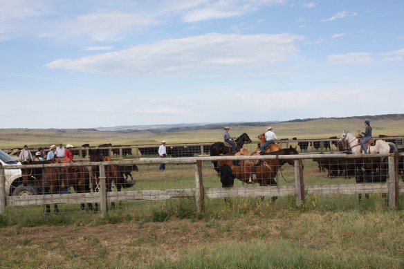 Branding time on TTT . . . . 