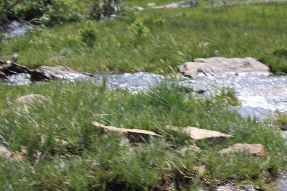 Water, water everywhere! . . . . 