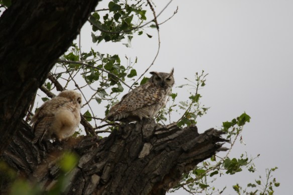 "Time to take a little trip" . . . . 