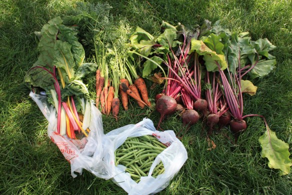 roadside stand is open . . . . 