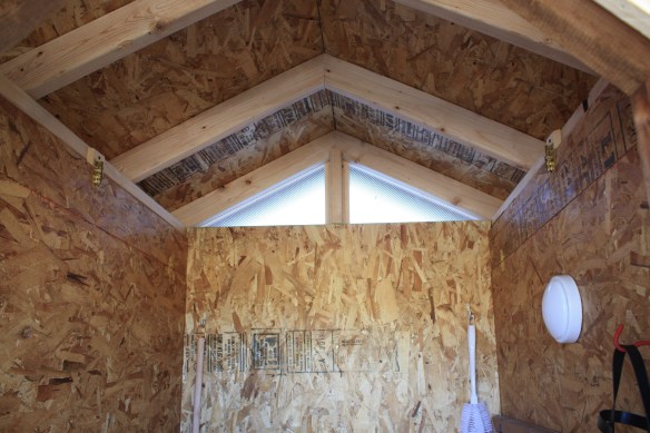 let there be light . . . . 