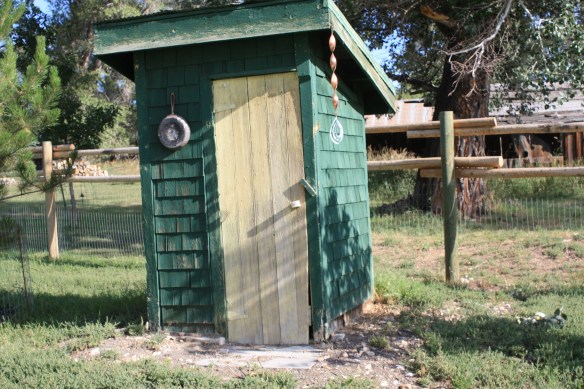 the Roosevelt . . . . 