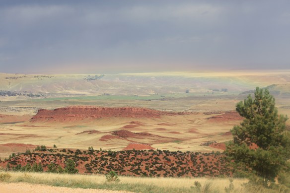 after the rain . . . . 