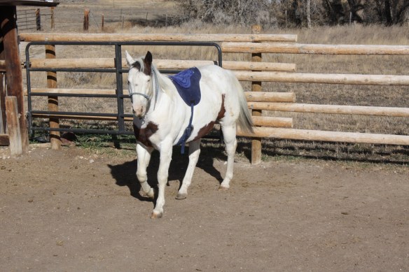 "am I going out today?" . . . . 