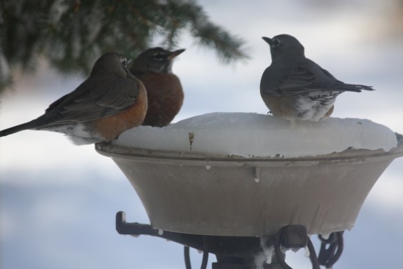 "when are we going?" 