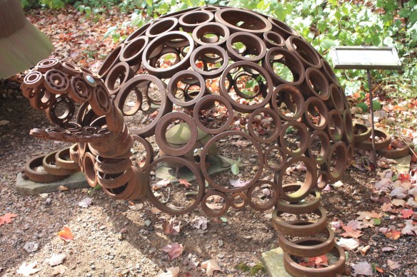 a tortoise, of all things . . . . 