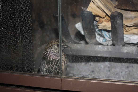 "next you'll want my autograph!" . . . .