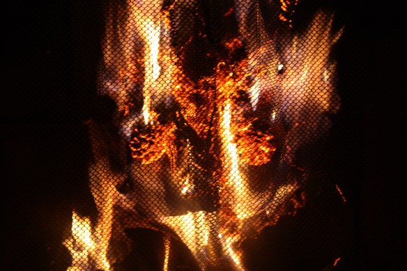 bringing light to the longest, coldest night . . . . 