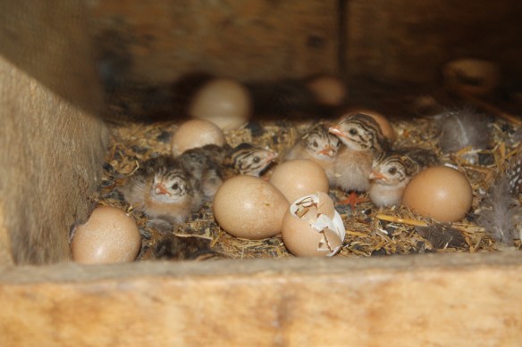 "Hello, world. Where's Mom?" . . . . 