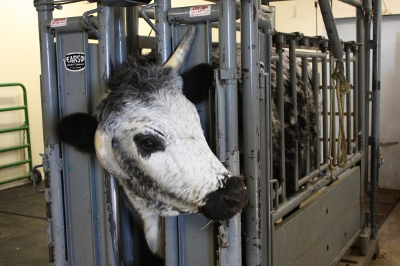 "hey, what did I do to deserve this?" . . . .