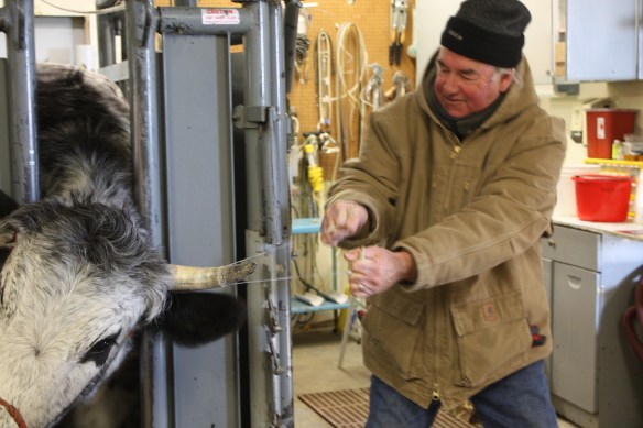 All hands on deck! . . . .