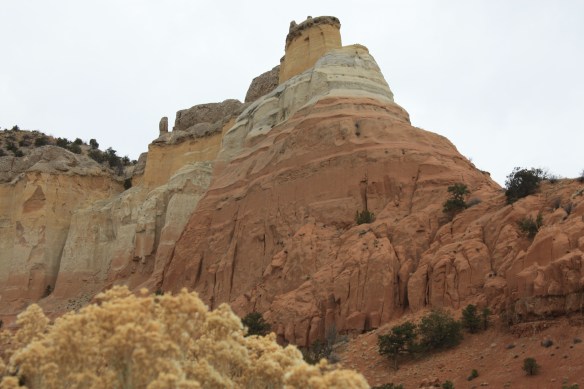 where the wind blows . . . . 