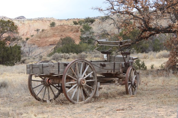 Ghost Ranch relic . . . . 