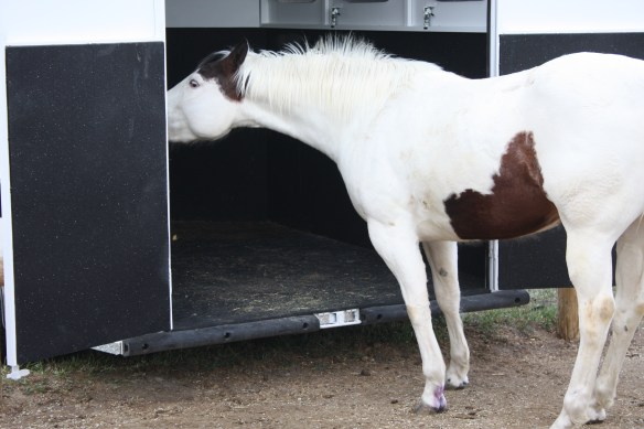 "If I stretch, I'll get a taste without getting in" . . . .