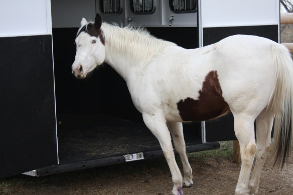 "You think I will, but I won't" . . . .