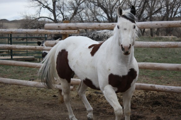 "Can we talk?" . . . .