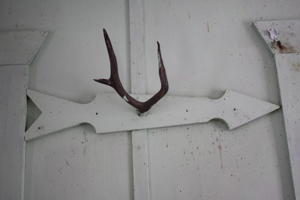 Design elements . . . . 