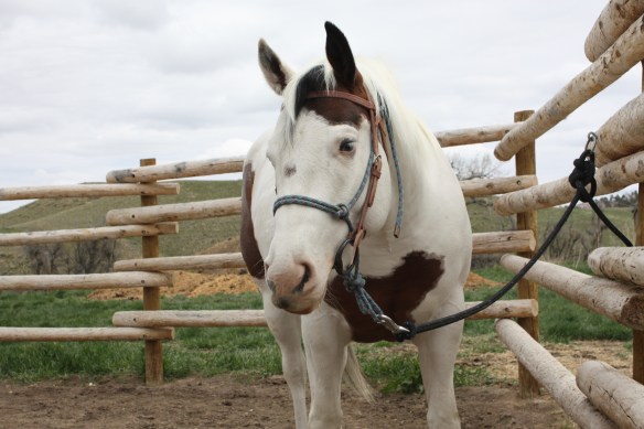 A bit of luck . . . . 