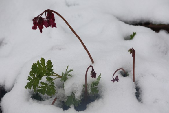 My heart bleeds . . . . 