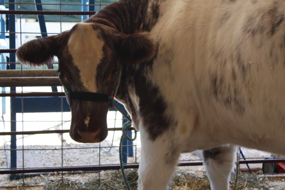 "I wanted to be different" . . . . 