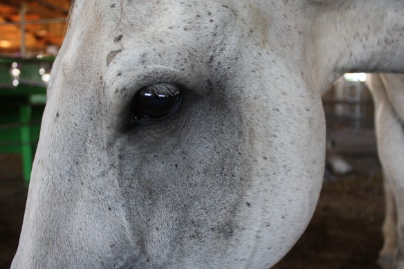 "Im dreaming of better days" . . . . 