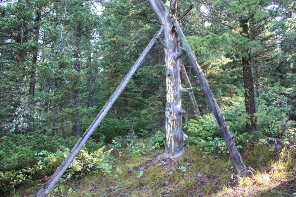 Still standing, after all these years . . . . 