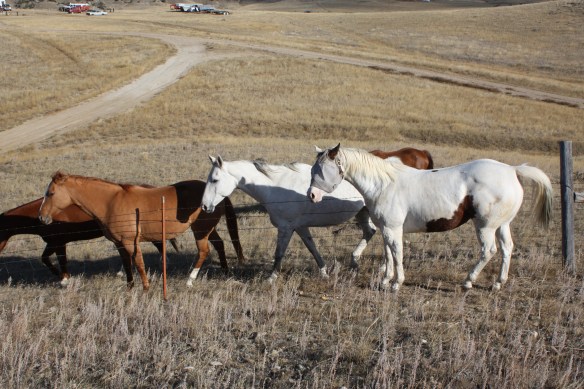 "hey, wait up!" . . . . 