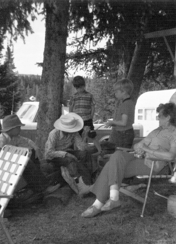 cattle drive 11 (4).jpg