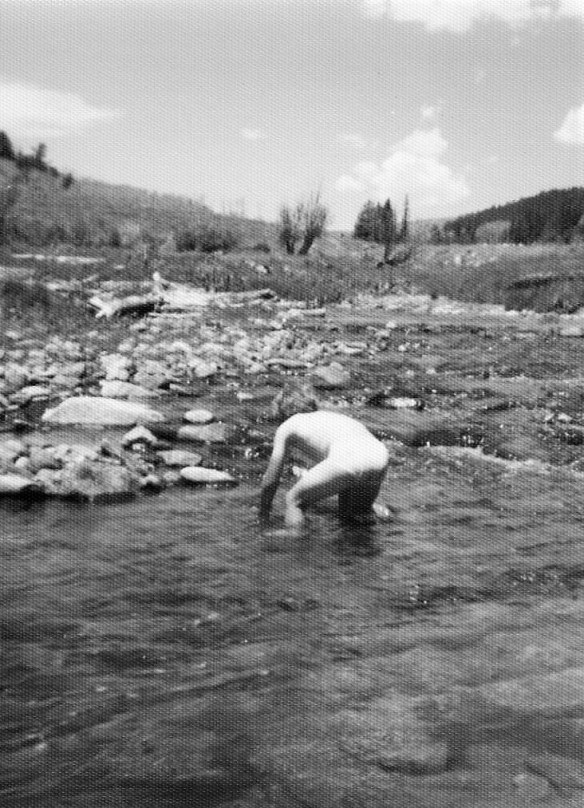 Cattle drive 4 (2).jpg